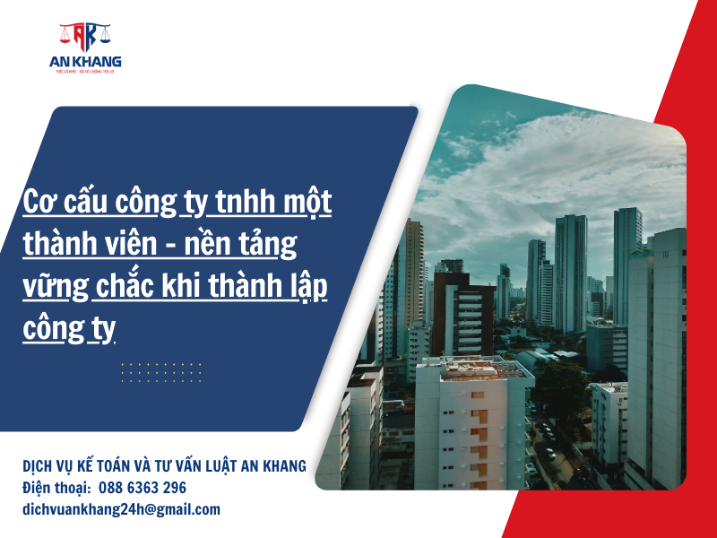 Cơ cấu công ty tnhh một thành viên – nền tảng vững chắc khi thành lập công ty
