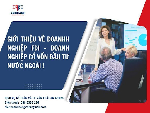 Giới thiệu về doanh nghiệp FDI – Doanh nghiệp có vốn đầu tư nước ngoài 