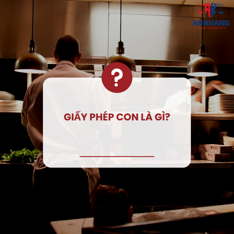 giấy phép con là gì?