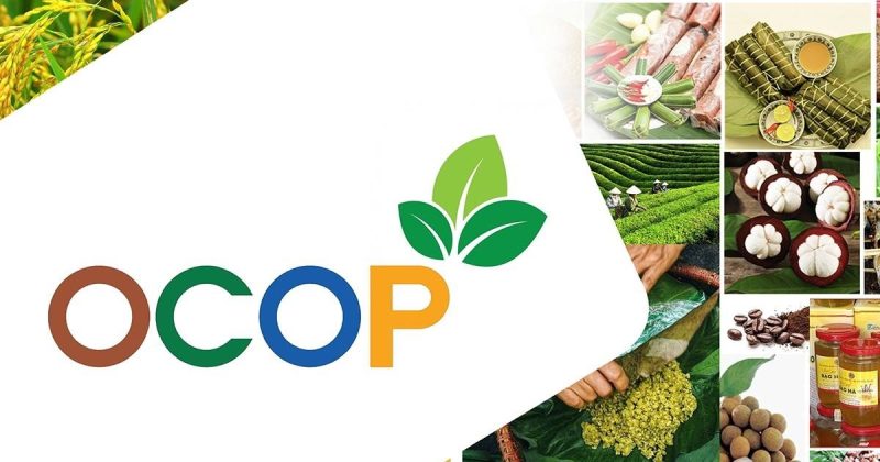Đăng ký nhãn hiệu sản phẩm OCOP: Hướng dẫn đầy đủ từ A đến Z
