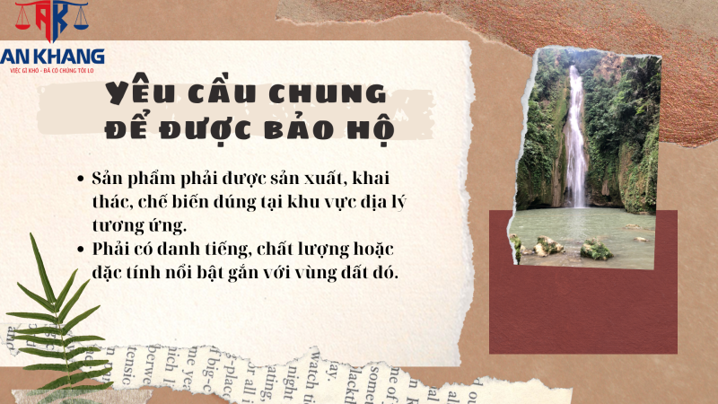 chỉ dẫn địa lý