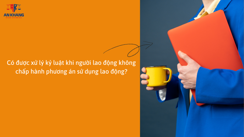 Phương án sử dụng lao động