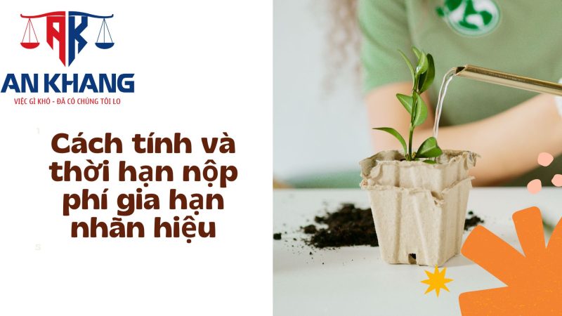 Phí gia hạn nhãn hiệu năm 2025: Những điều bạn cần biết để bảo vệ thương hiệu hiệu quả