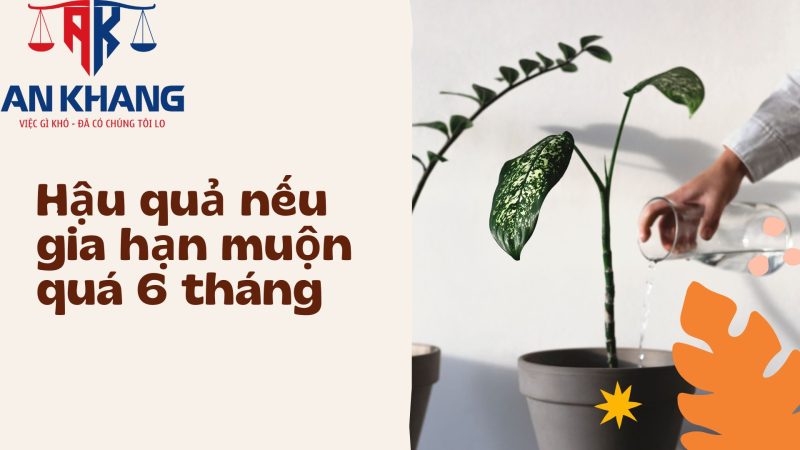 Thời hạn gia hạn nhãn hiệu