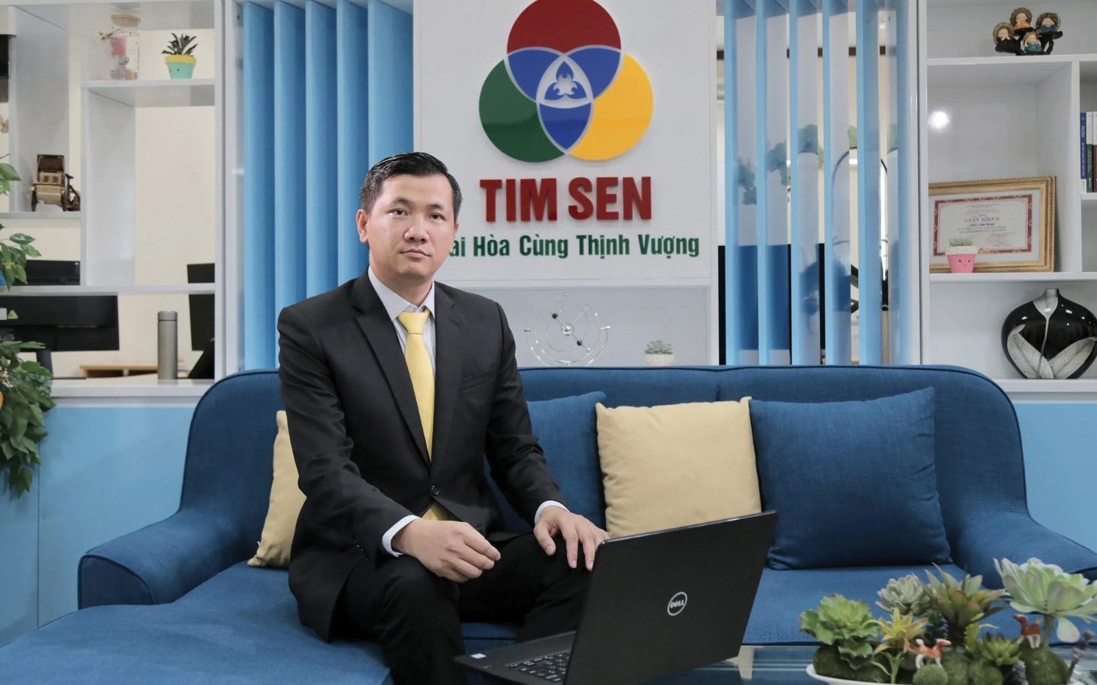 Dịch vụ kế toán thuế giá rẻ Tim Sen Công ty dịch vụ kế toán uy tín Tim Sen